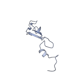 10377_6t4q_Sb_v1-2
Structure of yeast 80S ribosome stalled on the CGA-CCG inhibitory codon combination.