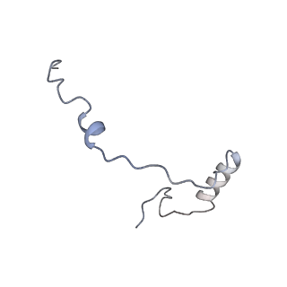 10377_6t4q_Se_v1-2
Structure of yeast 80S ribosome stalled on the CGA-CCG inhibitory codon combination.