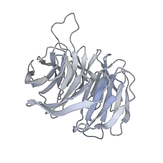 10377_6t4q_Sg_v1-2
Structure of yeast 80S ribosome stalled on the CGA-CCG inhibitory codon combination.