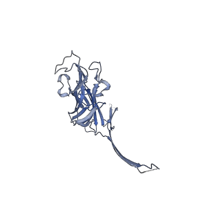 25673_7t4e_D_v1-2
Prepore structure of pore-forming toxin Epx1