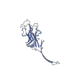 25673_7t4e_D_v1-3
Prepore structure of pore-forming toxin Epx1