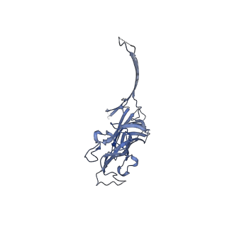 25673_7t4e_G_v1-3
Prepore structure of pore-forming toxin Epx1