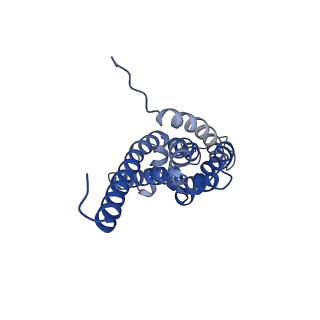 25684_7t4p_B_v1-1
CryoEM structure of Methylococcus capsulatus (Bath) pMMO treated with potassium cyanide and copper in a native lipid nanodisc at 3.62 Angstrom resolution