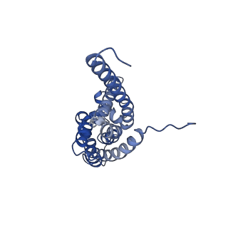 25684_7t4p_F_v1-1
CryoEM structure of Methylococcus capsulatus (Bath) pMMO treated with potassium cyanide and copper in a native lipid nanodisc at 3.62 Angstrom resolution