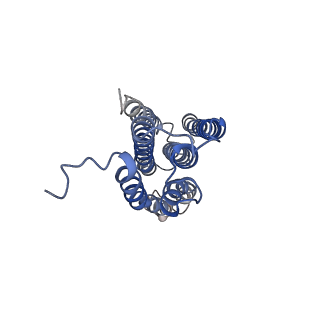 25684_7t4p_G_v1-1
CryoEM structure of Methylococcus capsulatus (Bath) pMMO treated with potassium cyanide and copper in a native lipid nanodisc at 3.62 Angstrom resolution