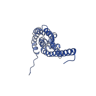 25684_7t4p_J_v1-1
CryoEM structure of Methylococcus capsulatus (Bath) pMMO treated with potassium cyanide and copper in a native lipid nanodisc at 3.62 Angstrom resolution