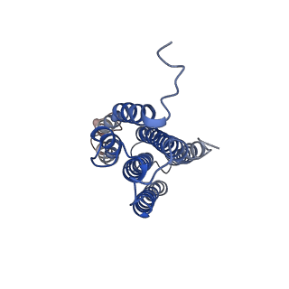 25684_7t4p_K_v1-1
CryoEM structure of Methylococcus capsulatus (Bath) pMMO treated with potassium cyanide and copper in a native lipid nanodisc at 3.62 Angstrom resolution