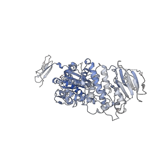 25686_7t4r_B_v1-0
CryoEM structure of the HCMV Pentamer gH/gL/UL128/UL130/UL131A in complex with THBD and neutralizing fabs MSL-109 and 13H11