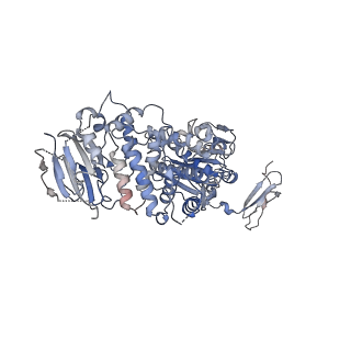 25686_7t4r_K_v1-0
CryoEM structure of the HCMV Pentamer gH/gL/UL128/UL130/UL131A in complex with THBD and neutralizing fabs MSL-109 and 13H11