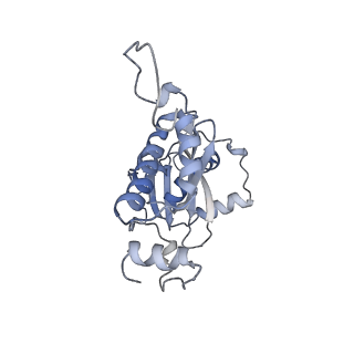 25686_7t4r_L_v1-0
CryoEM structure of the HCMV Pentamer gH/gL/UL128/UL130/UL131A in complex with THBD and neutralizing fabs MSL-109 and 13H11