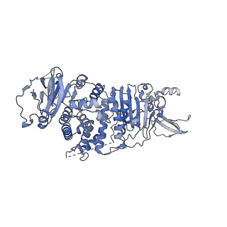 25687_7t4s_A_v1-0
CryoEM structure of the HCMV Pentamer gH/gL/UL128/UL130/UL131A in complex with NRP2 and neutralizing fabs 8I21 and 13H11