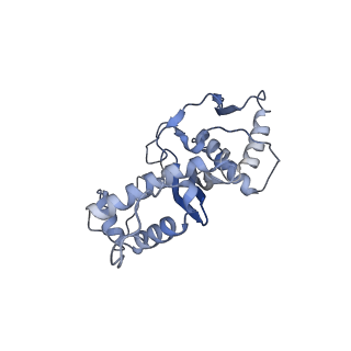 25687_7t4s_B_v1-0
CryoEM structure of the HCMV Pentamer gH/gL/UL128/UL130/UL131A in complex with NRP2 and neutralizing fabs 8I21 and 13H11