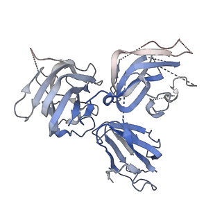 25687_7t4s_F_v1-0
CryoEM structure of the HCMV Pentamer gH/gL/UL128/UL130/UL131A in complex with NRP2 and neutralizing fabs 8I21 and 13H11