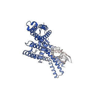 25691_7t4x_B_v1-1
AKT1 K+ channel from A. thaliana in MSP2N2 lipid nanodisc