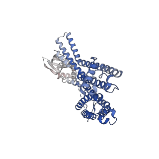 25691_7t4x_D_v1-1
AKT1 K+ channel from A. thaliana in MSP2N2 lipid nanodisc