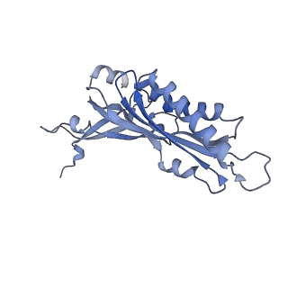 41039_8t4s_B_v1-1
MERS-CoV Nsp1 protein bound to the Human 40S Ribosomal subunit