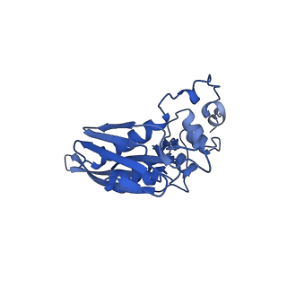 41039_8t4s_C_v1-1
MERS-CoV Nsp1 protein bound to the Human 40S Ribosomal subunit