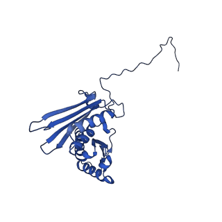 41039_8t4s_D_v1-1
MERS-CoV Nsp1 protein bound to the Human 40S Ribosomal subunit