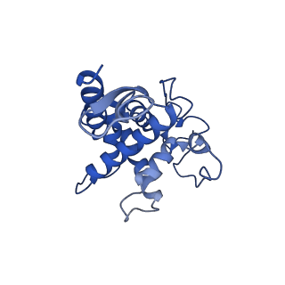 41039_8t4s_F_v1-1
MERS-CoV Nsp1 protein bound to the Human 40S Ribosomal subunit
