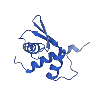 41039_8t4s_K_v1-1
MERS-CoV Nsp1 protein bound to the Human 40S Ribosomal subunit