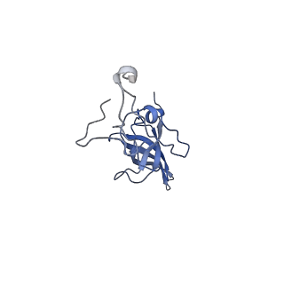 41039_8t4s_L_v1-1
MERS-CoV Nsp1 protein bound to the Human 40S Ribosomal subunit