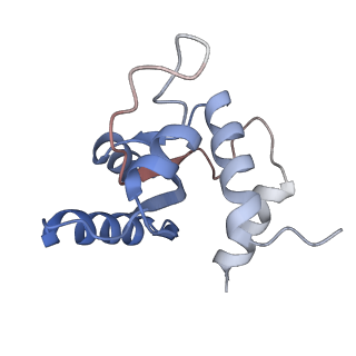41039_8t4s_M_v1-1
MERS-CoV Nsp1 protein bound to the Human 40S Ribosomal subunit