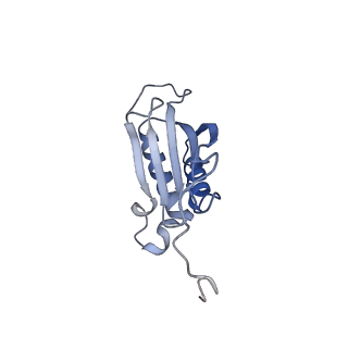 41039_8t4s_O_v1-1
MERS-CoV Nsp1 protein bound to the Human 40S Ribosomal subunit