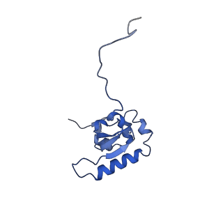 41039_8t4s_P_v1-1
MERS-CoV Nsp1 protein bound to the Human 40S Ribosomal subunit