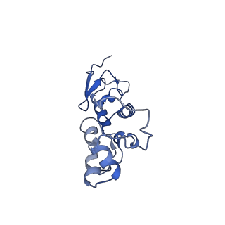41039_8t4s_S_v1-1
MERS-CoV Nsp1 protein bound to the Human 40S Ribosomal subunit