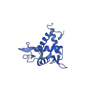 41039_8t4s_T_v1-1
MERS-CoV Nsp1 protein bound to the Human 40S Ribosomal subunit
