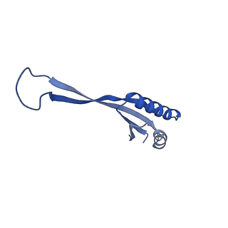 41039_8t4s_U_v1-1
MERS-CoV Nsp1 protein bound to the Human 40S Ribosomal subunit