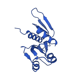 41039_8t4s_W_v1-1
MERS-CoV Nsp1 protein bound to the Human 40S Ribosomal subunit