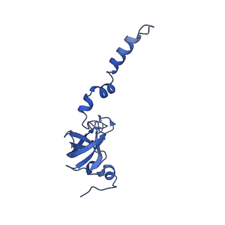 41039_8t4s_X_v1-1
MERS-CoV Nsp1 protein bound to the Human 40S Ribosomal subunit