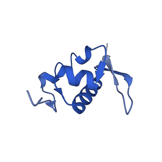 41039_8t4s_Z_v1-1
MERS-CoV Nsp1 protein bound to the Human 40S Ribosomal subunit
