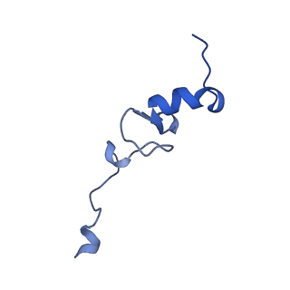 41039_8t4s_d_v1-1
MERS-CoV Nsp1 protein bound to the Human 40S Ribosomal subunit