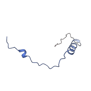 41039_8t4s_e_v1-1
MERS-CoV Nsp1 protein bound to the Human 40S Ribosomal subunit