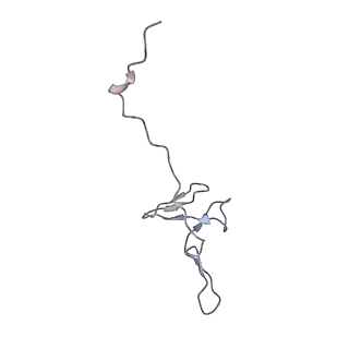 41039_8t4s_f_v1-1
MERS-CoV Nsp1 protein bound to the Human 40S Ribosomal subunit