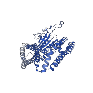 8354_5t4d_A_v1-5
Cryo-EM structure of Polycystic Kidney Disease protein 2 (PKD2), residues 198-703