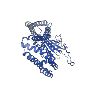 8354_5t4d_B_v1-5
Cryo-EM structure of Polycystic Kidney Disease protein 2 (PKD2), residues 198-703