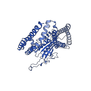 8354_5t4d_C_v1-5
Cryo-EM structure of Polycystic Kidney Disease protein 2 (PKD2), residues 198-703