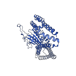 8354_5t4d_D_v1-5
Cryo-EM structure of Polycystic Kidney Disease protein 2 (PKD2), residues 198-703