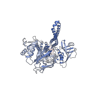 25695_7t55_B_v1-1
Cryo-EM structure of PCAT1 in the inward-facing wide conformation under ATP turnover condition