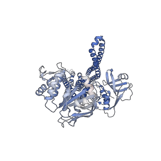 25695_7t55_B_v1-2
Cryo-EM structure of PCAT1 in the inward-facing wide conformation under ATP turnover condition