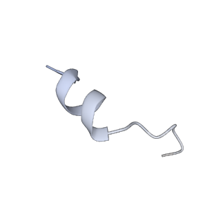 25695_7t55_D_v1-2
Cryo-EM structure of PCAT1 in the inward-facing wide conformation under ATP turnover condition