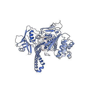 25696_7t56_A_v1-0
Cryo-EM structure of PCAT1 in the inward-facing intermediate conformation under ATP turnover condition