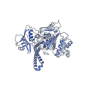 25696_7t56_A_v1-1
Cryo-EM structure of PCAT1 in the inward-facing intermediate conformation under ATP turnover condition