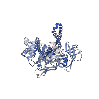 25696_7t56_B_v1-0
Cryo-EM structure of PCAT1 in the inward-facing intermediate conformation under ATP turnover condition