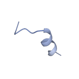 25696_7t56_C_v1-1
Cryo-EM structure of PCAT1 in the inward-facing intermediate conformation under ATP turnover condition