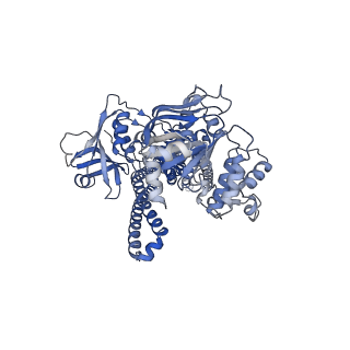 25697_7t57_A_v1-1
Cryo-EM structure of PCAT1 in the inward-facing narrow conformation under ATP turnover condition