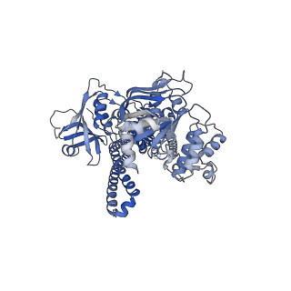 25697_7t57_A_v1-2
Cryo-EM structure of PCAT1 in the inward-facing narrow conformation under ATP turnover condition